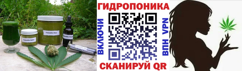 Еда ТГК конопля  Купить  Новая Ладога 