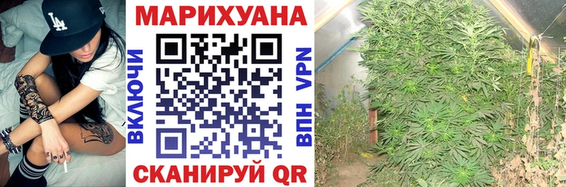 Купить  Новая Ладога  Конопля VHQ 